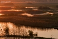 013_Biebrza - kwiecien 2012